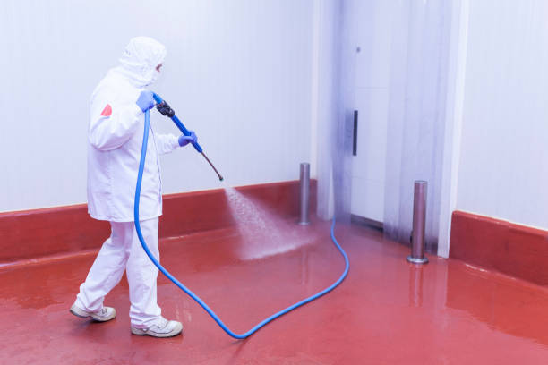 Best Building Exterior Washing  in Highland Park, IL